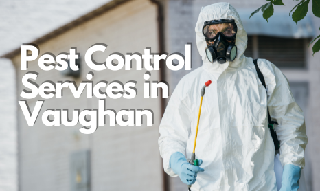 Pest-Control-Services